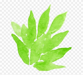 Flowers Watercolour Flowers Watercolor Painting Leaf - Watercolor Painting
