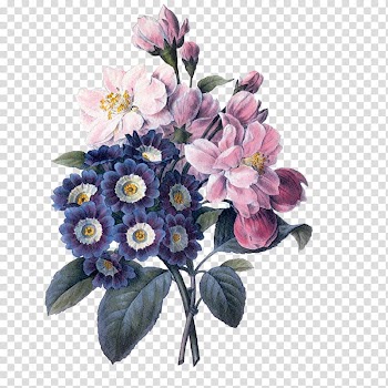 Flowers, white and purple petaled flowers transparent background PNG clipart
