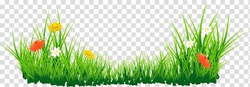, Flowers with Grass , white, yellow, and red daisies in grass field transparent background PNG clipart