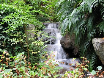 flowing_creek.JPG
