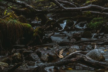 Flowing Water