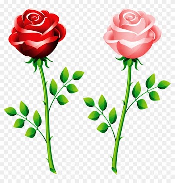 Flôres - Rose Vector