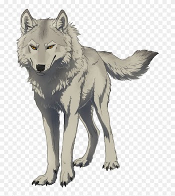 Fluffy Mercenary Wolf By Canis-ferox - Fluffy Wolf