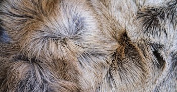 Fluffy rug, animal fur texture, | Free Photo - rawpixel