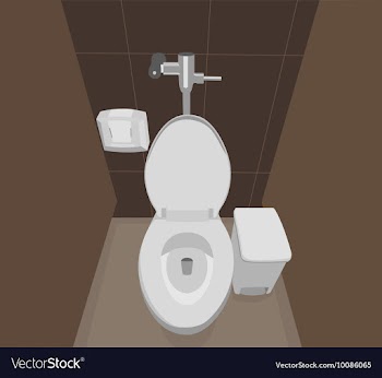 Flush toilet vector image