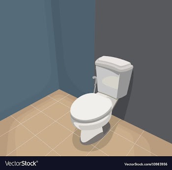 Flush toilet vector image