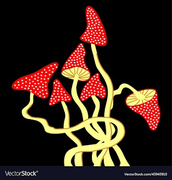 fly agaric