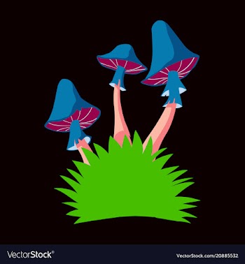 Fly agaric mushroom growing in a small bush vector image