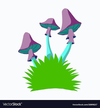 Fly agaric mushroom growing in a small bush vector image