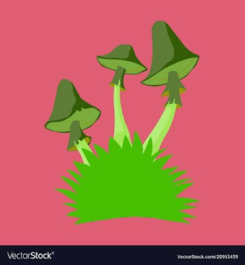 Fly agaric mushroom growing in a small bush vector image