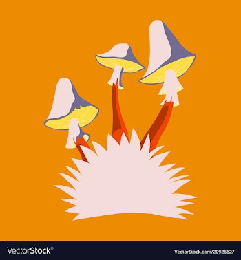 Fly agaric mushroom growing in a small bush vector image