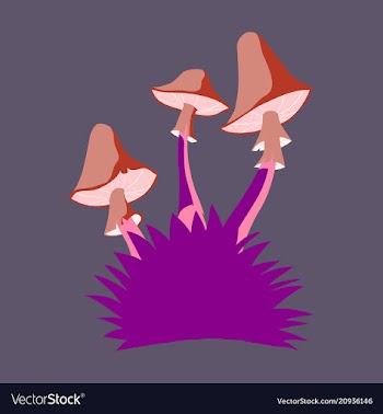 Fly agaric mushroom growing in a small bush vector image