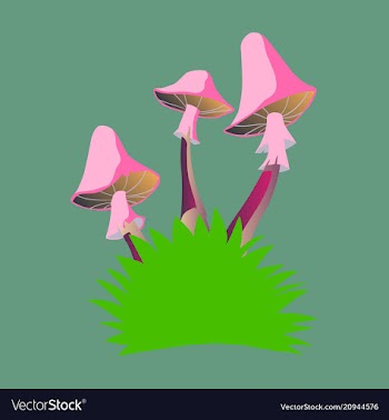 Fly agaric mushroom growing in a small bush vector image