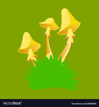 Fly agaric mushroom growing in a small bush vector image