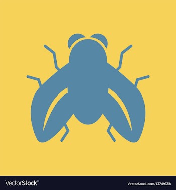 Fly insect vector image