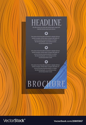 Flyer cover business brochure design leaflet vector image