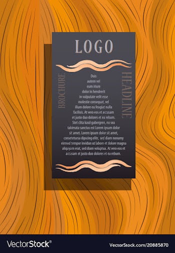 Flyer cover business brochure design leaflet vector image