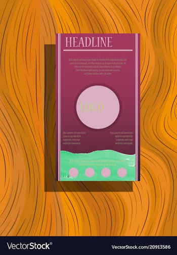 Flyer cover business brochure design leaflet vector image