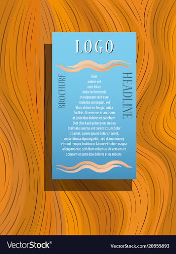 Flyer cover business brochure design leaflet vector image