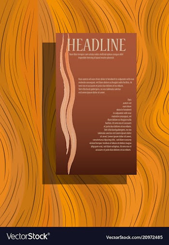 Flyer cover business brochure design leaflet vector image