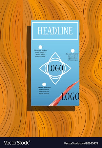 Flyer design business brochure template annual vector image