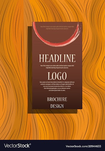 Flyer design business brochure template annual vector image