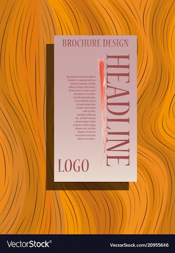 Flyer design business brochure template annual vector image