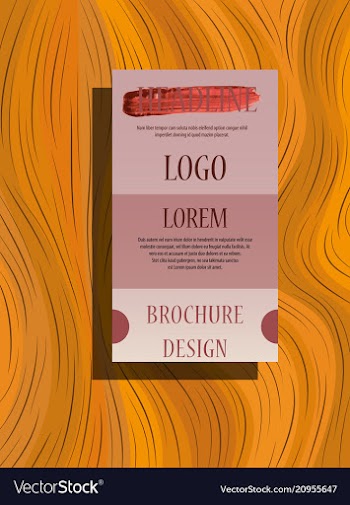 Flyer design business brochure template annual vector image
