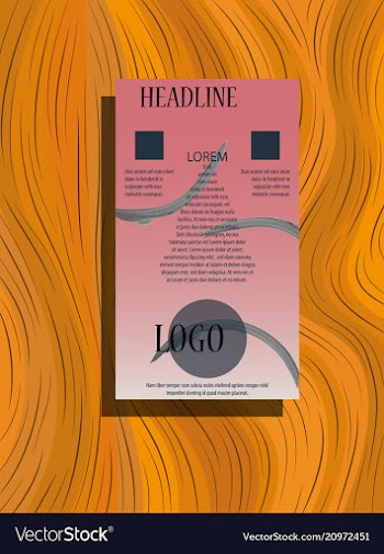 Flyer design business brochure template annual vector image