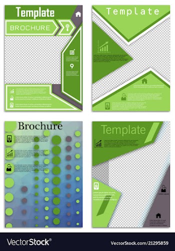 Flyer design business brochure template annual vector image