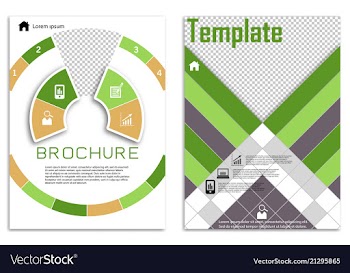 Flyer design business brochure template annual vector image