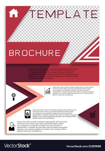 Flyer design business brochure template annual vector image