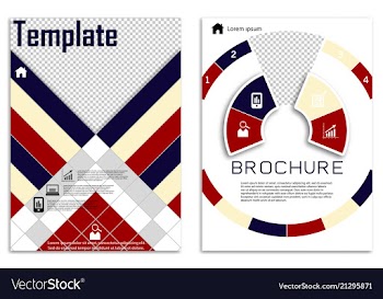 Flyer design business brochure template annual vector image