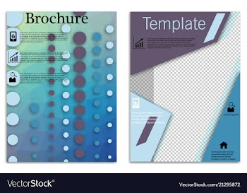Flyer design business brochure template annual vector image