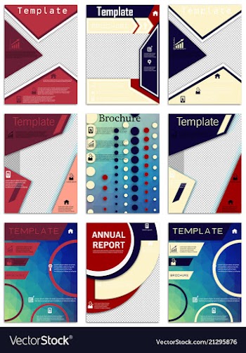 Flyer design business brochure template annual vector image