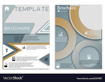 Flyer design business brochure template annual vector image