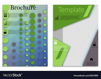 Flyer design business brochure template annual vector image