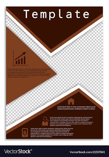 Flyer design business brochure template annual vector image