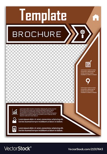 Flyer design business brochure template annual vector image