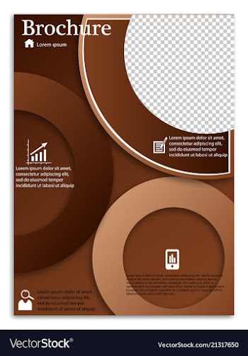Flyer design business brochure template annual vector image