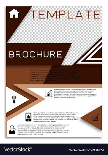 Flyer design business brochure template annual vector image