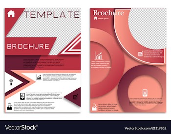 Flyer design business brochure template annual vector image
