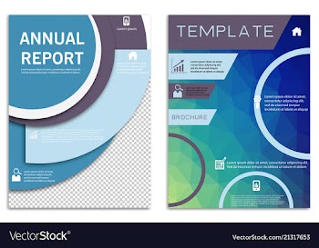 Flyer design business brochure template annual vector image