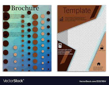 Flyer design business brochure template annual vector image