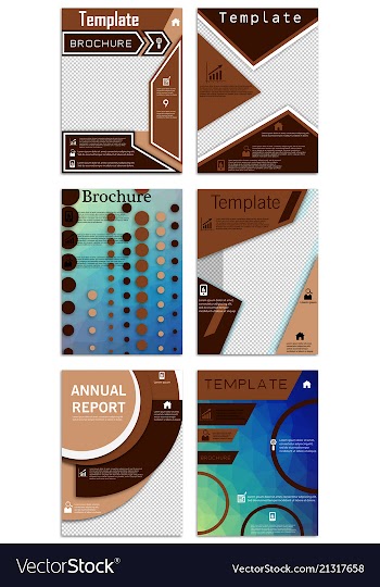 Flyer design business brochure template annual vector image