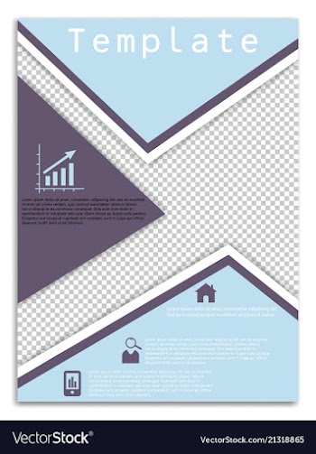 Flyer design business brochure template annual vector image
