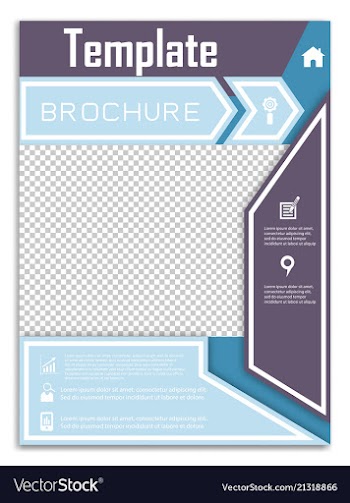 Flyer design business brochure template annual vector image
