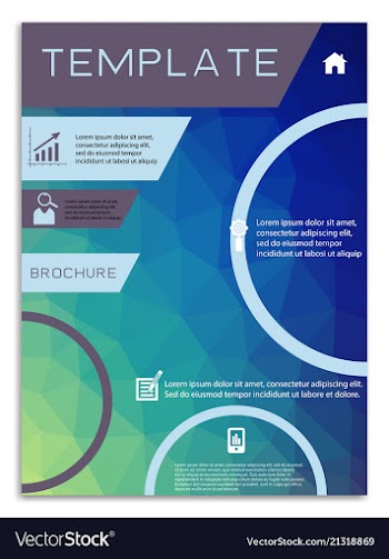 Flyer design business brochure template annual vector image