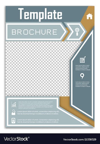 Flyer design business brochure template annual vector image