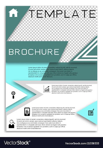 Flyer design business brochure template annual vector image